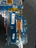 20250408_062049.jpg